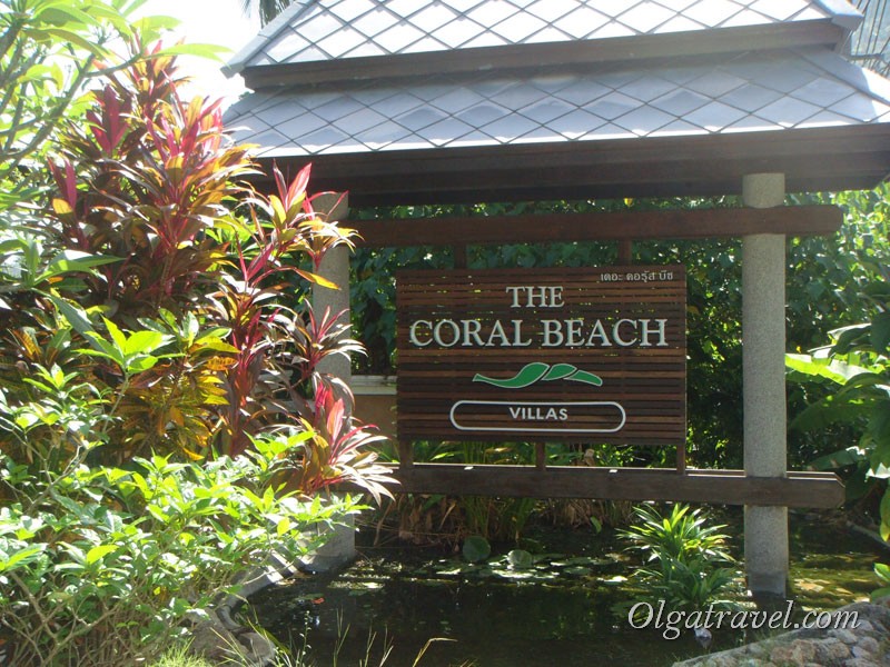 Coral Cove 13