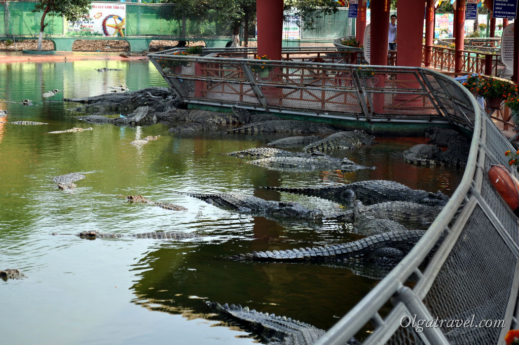 крокодилы парк Suoi Tien
