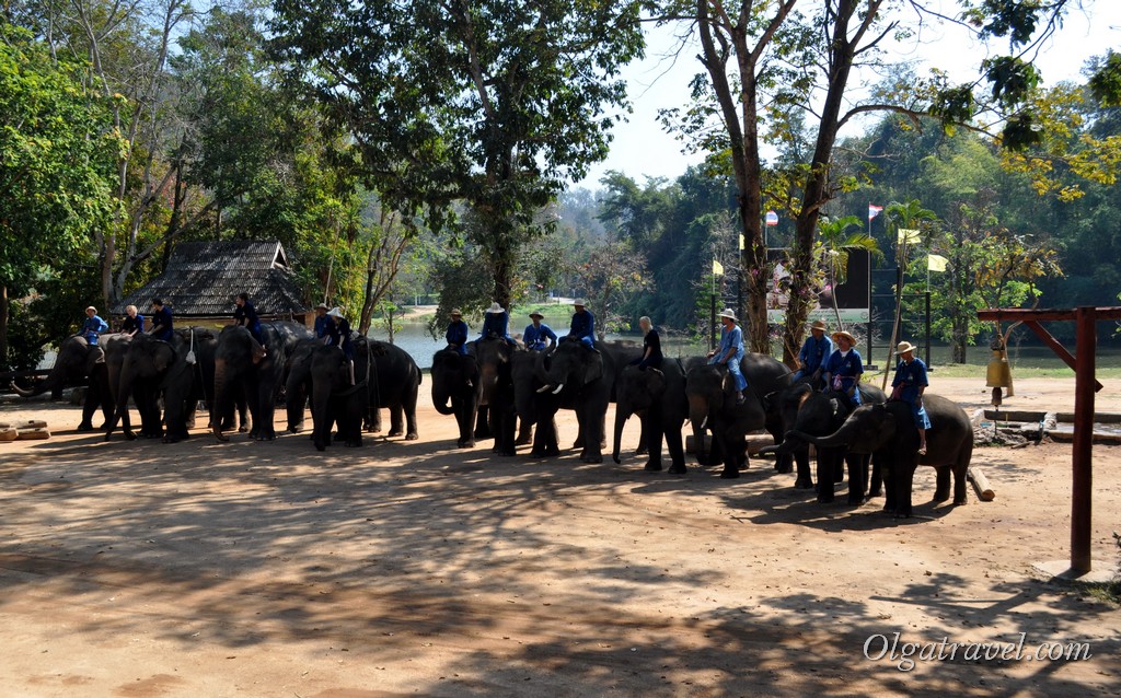 Thai_Elephant_Conservation_Center_36