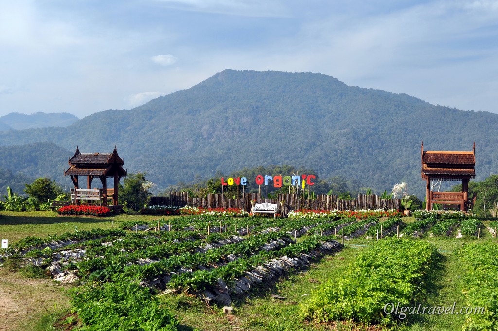 Что посмотреть и чем заняться в Чиангмае: интересные места и фестивали