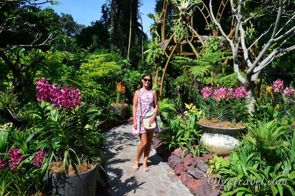 сад орхидей сингапур
