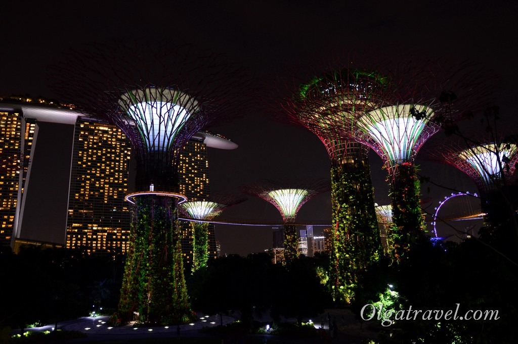 Singapore_gardens_by_the_bay_14