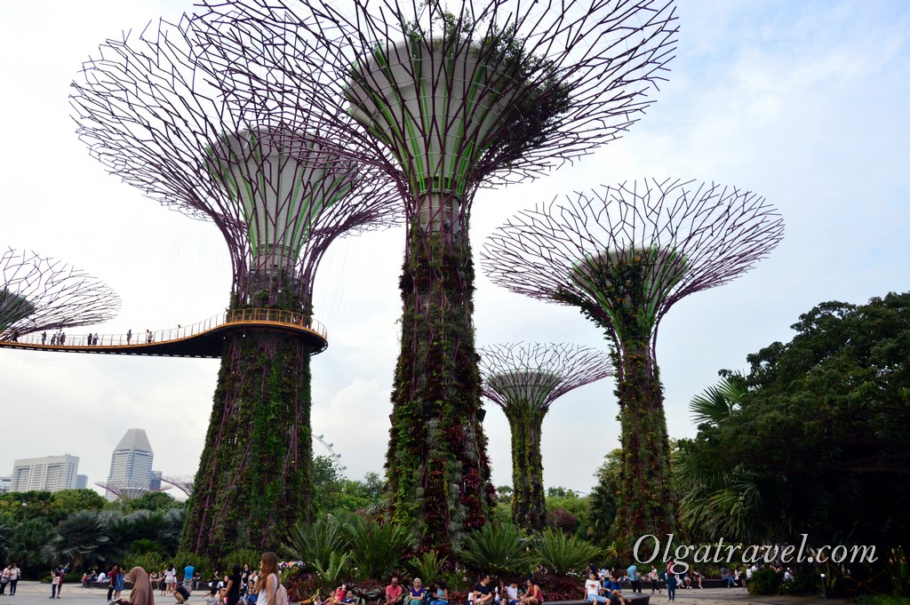 Singapore_gardens_by_the_bay_43
