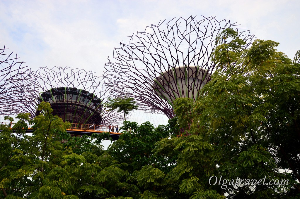 Singapore_gardens_by_the_bay_47