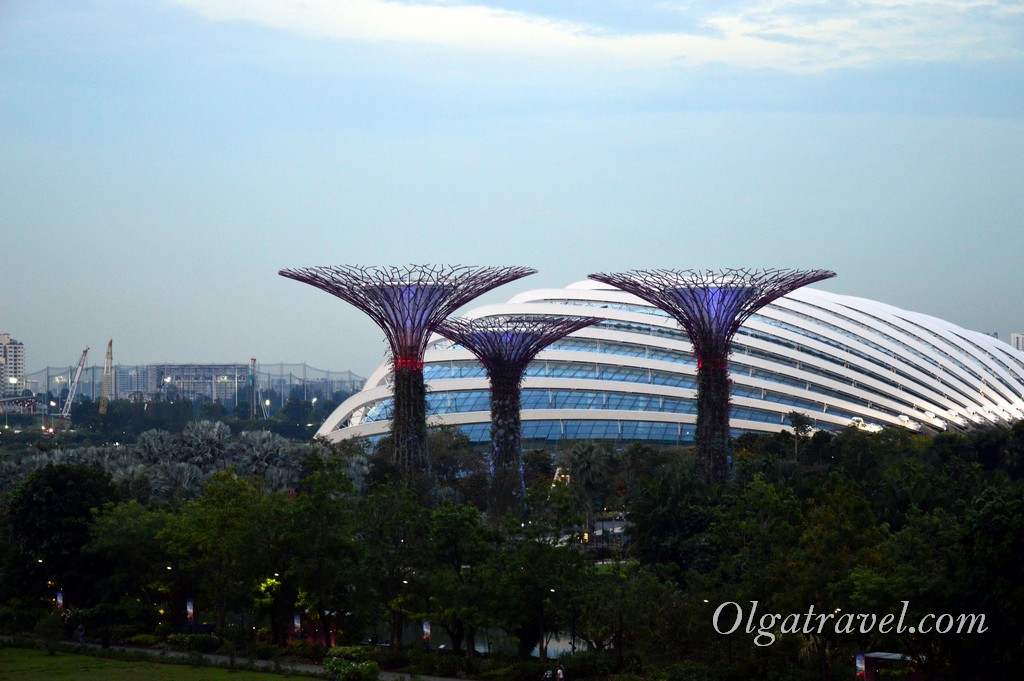 Singapore_gardens_by_the_bay_53